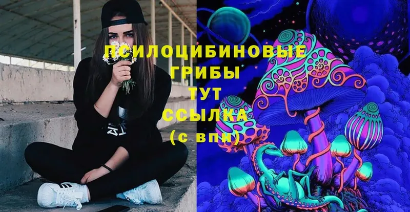 Псилоцибиновые грибы MAGIC MUSHROOMS  OMG ТОР  Туймазы  купить закладку 